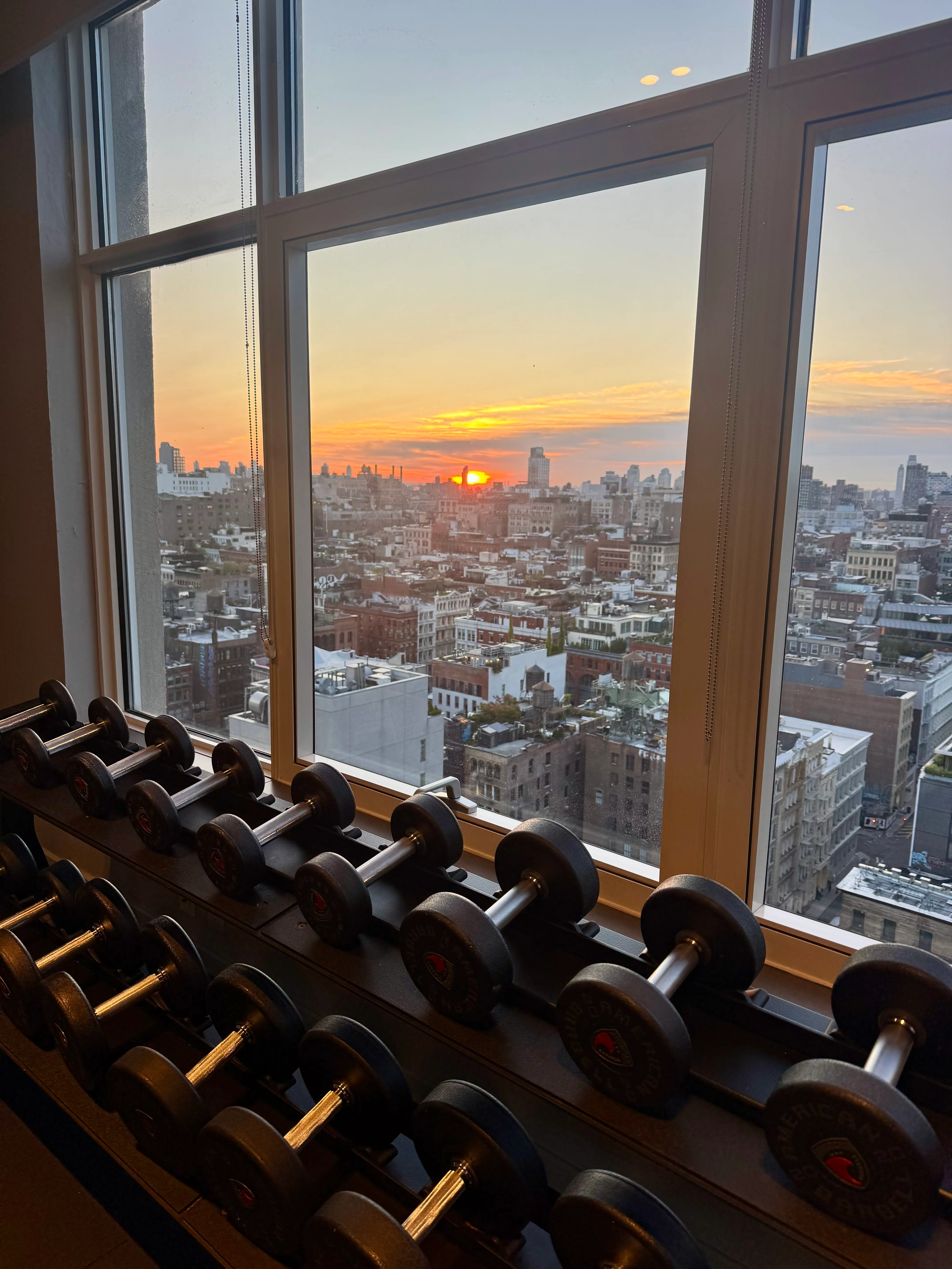 <em>View from hotel gym in New York</em>