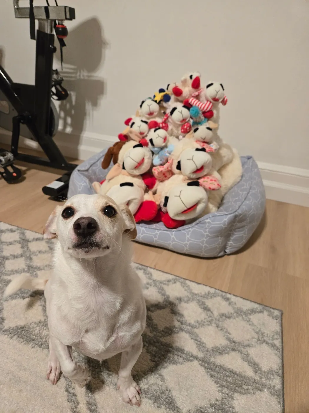 <em>Don’t talk to me or my son ever again</em>